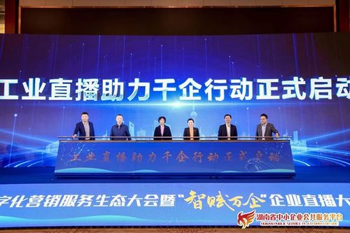 湖南省數字化營銷服務生態大會成功舉辦，賦能制造業數字化轉型